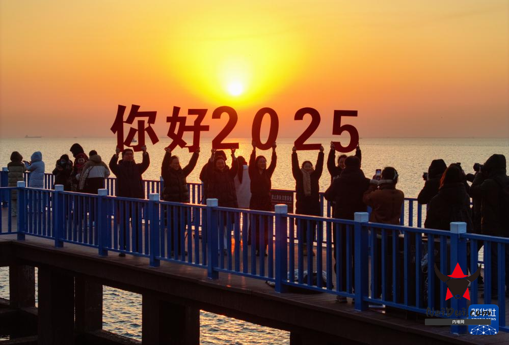 PHOTJIGwOnuXQIJMfj1NzbVF250101_1000x2000.png